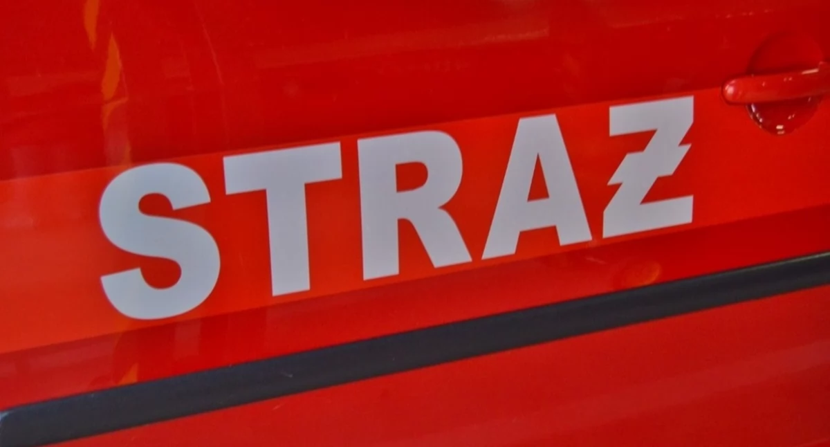 Zdjęcie przedstawia napis 