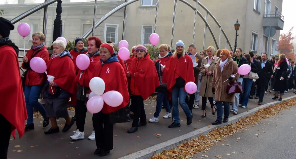 Zdjęcie przedstawia marsz 