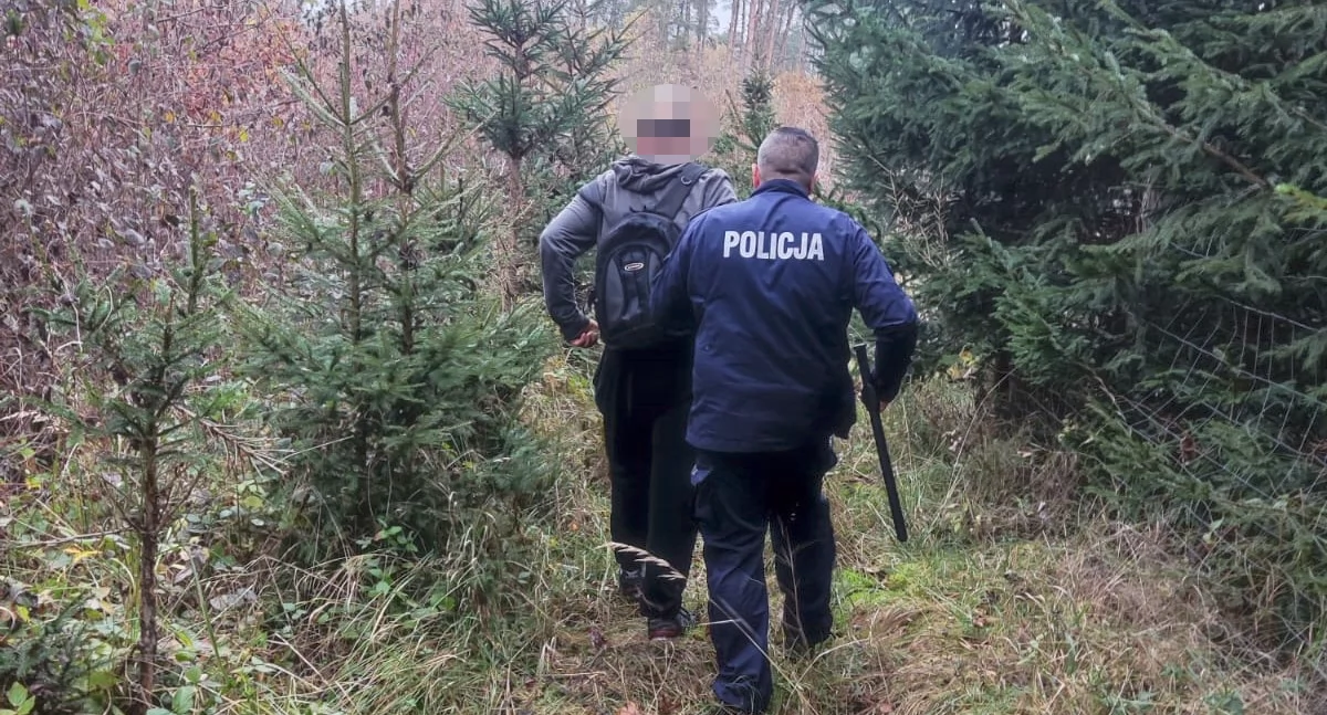 Zdjęcie przedstawia zatrzymanie podejrzanego o uprawę konopii w lesie koło Kościana