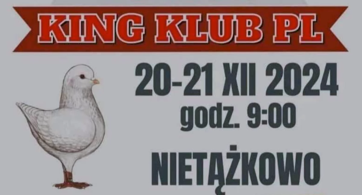 Plakat informujący o wystawie gołębi
