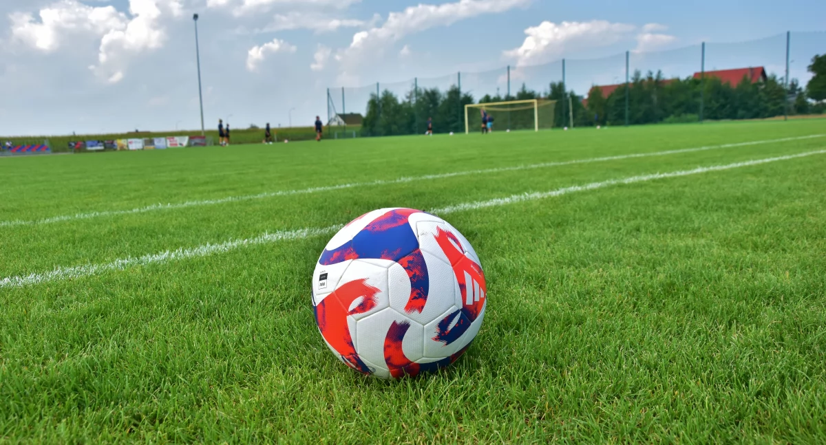 Zdjęcie przedstawia piłkę nożną