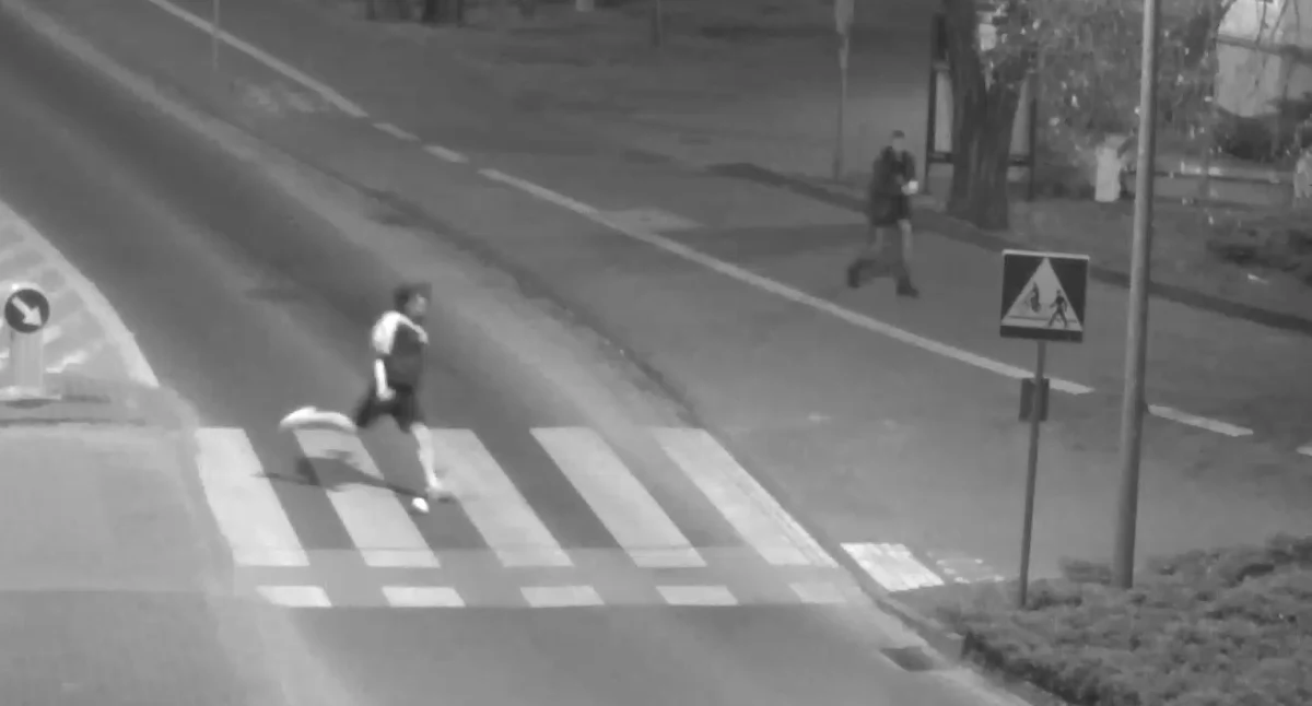 Inne zdarzenia, Wandale zgłosili urzędu Wyrazili skruchę - zdjęcie, fotografia