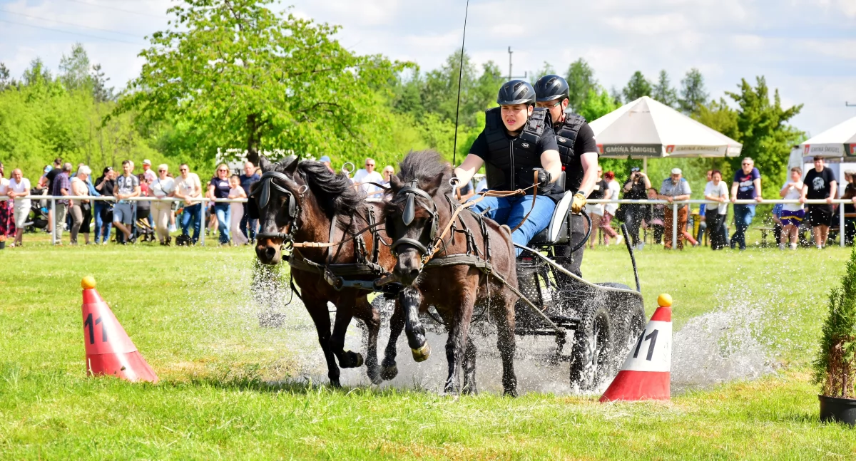 Inne sporty, Jubileuszowe Włościańskie Zawody Powożeniu Zaprzęgami [ZDJĘCIA] - zdjęcie, fotografia