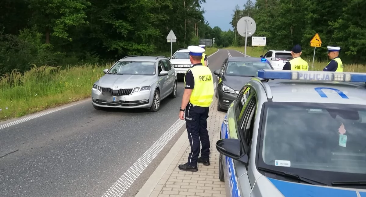 Kontrola trzeźwości