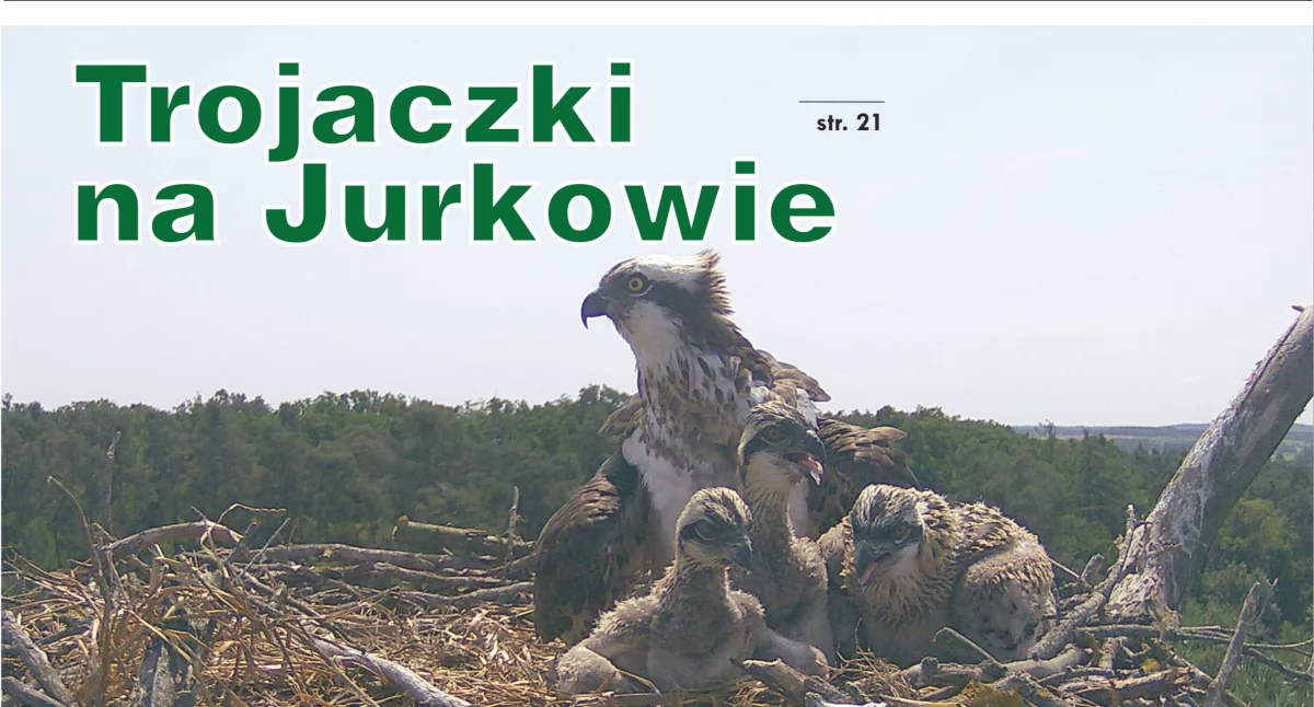 Gazeta Kościańska nr 1371-1372