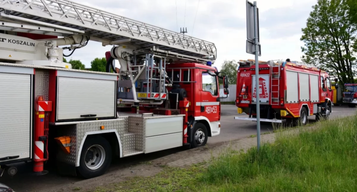Pożary, Pożar zakładzie przetwarzania Przysiece - zdjęcie, fotografia