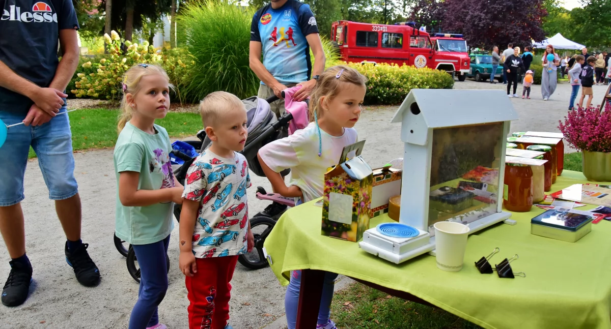 Charytatywne, Festyn Dzieci Niezwykłych [ZDJĘCIA] - zdjęcie, fotografia