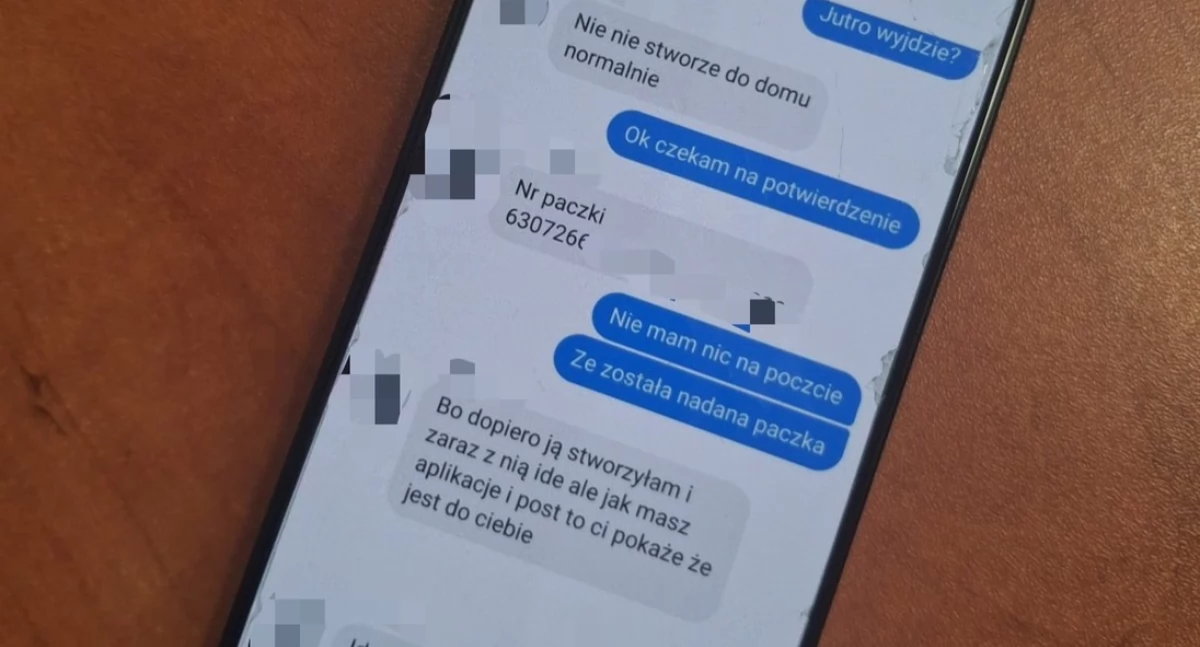 Kronika kryminalna, Internetowa oszustka zatrzymana! Usłyszała zarzutów! - zdjęcie, fotografia