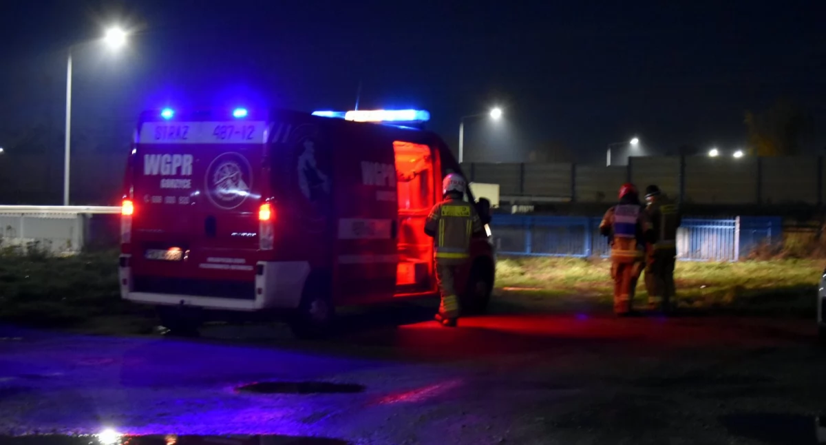 Inne zdarzenia, Poszukiwany latek odnaleziony! - zdjęcie, fotografia
