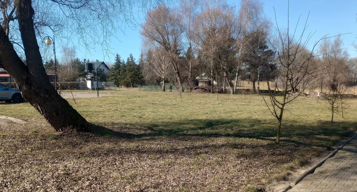 Dzięki inwestycji na terenie DPS w Mościszkach pojawią się nowe krzewy i drzewa