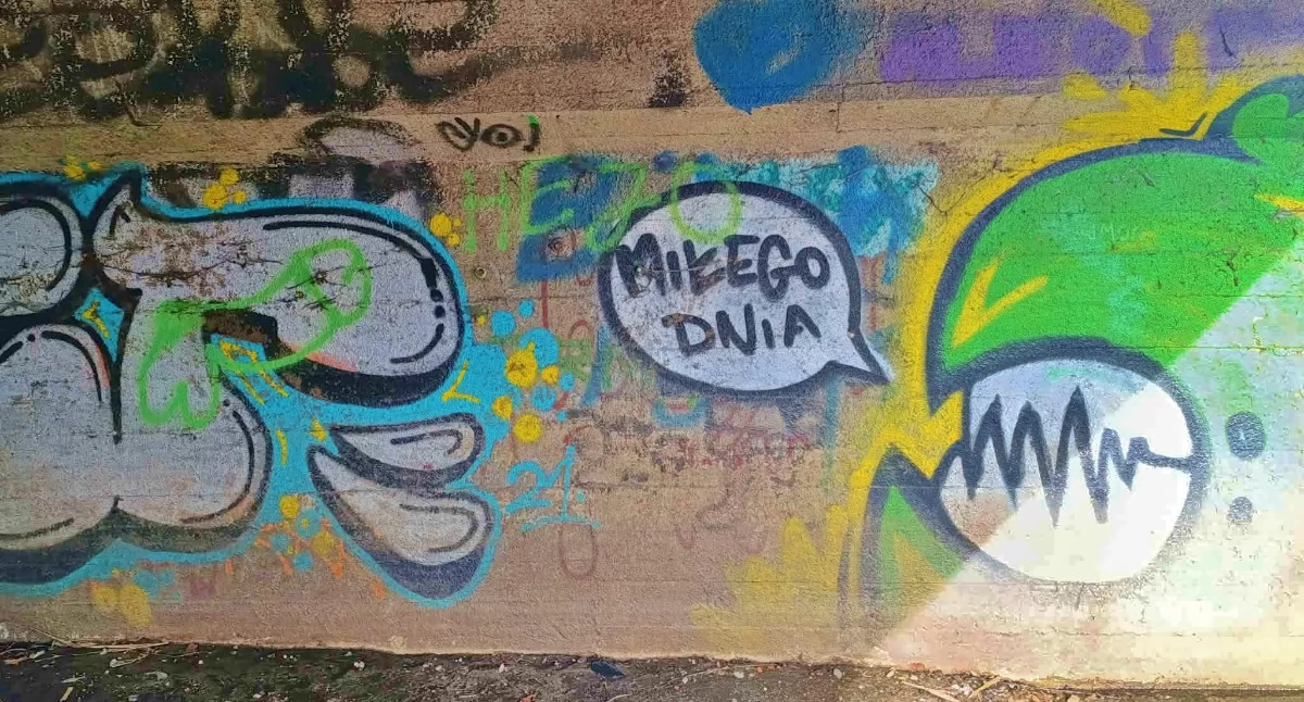 Sprawy lokalne, Kościańskie graffiti [ZDJĘCIA] - zdjęcie, fotografia