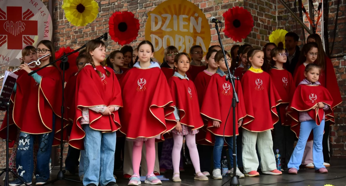 Imprezy różne, Kolejny udany Dzień Dobra Kościanie [ZDJĘCIA] - zdjęcie, fotografia
