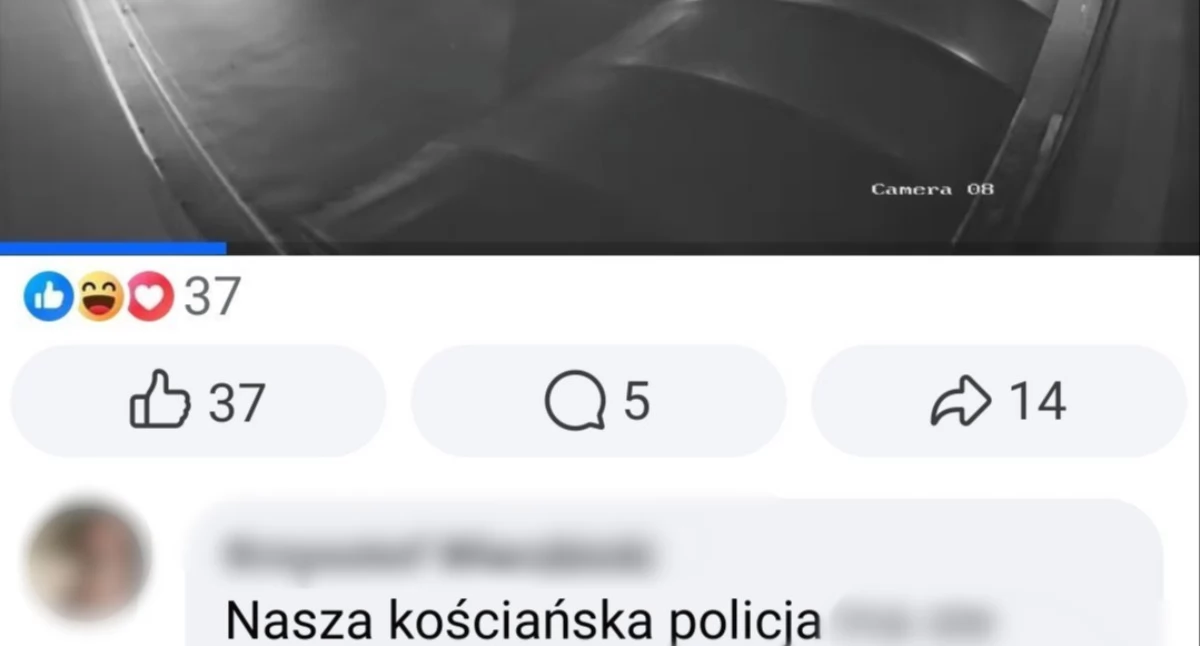 Kronika kryminalna, Mandat wulgarny komentarz profilu policji - zdjęcie, fotografia