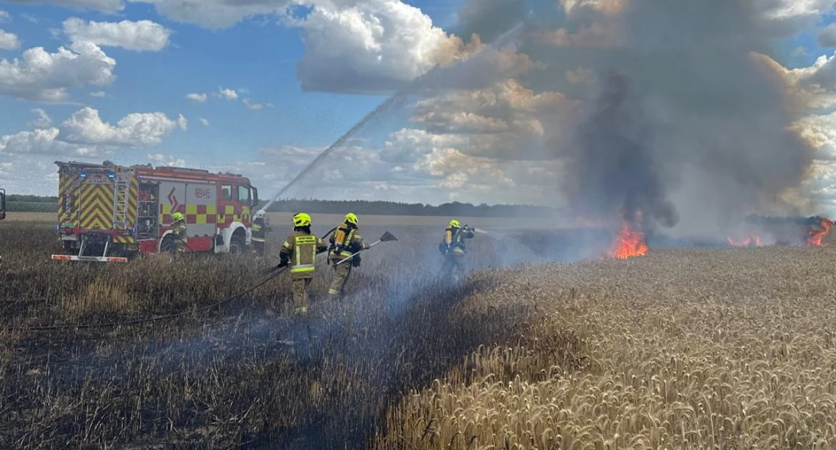 Pożary, Pożar zboża koło Ignacewa! - zdjęcie, fotografia