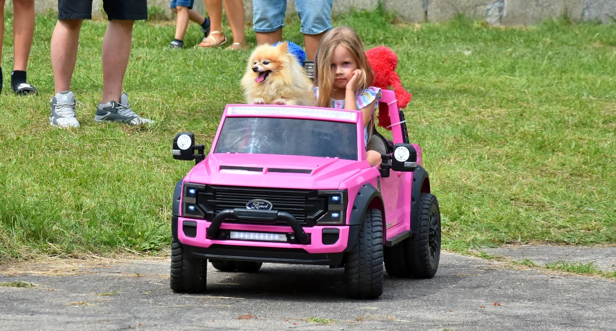 Charytatywne, Motoryzacyjna impreza zwierzaków wiatrakach [ZDJĘCIA] - zdjęcie, fotografia