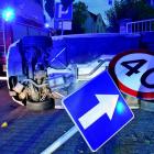 Fotka nr 4 z 13