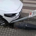 zdjęcie nr 11