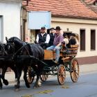 zdjęcie nr 15