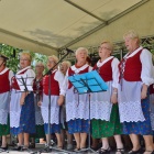 zdjęcie nr 31