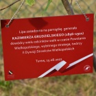 zdjęcie nr 61