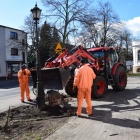 Będzie zielono przed urzędem w Kościanie (2)