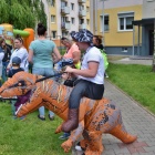 zdjęcie nr 2