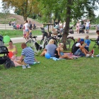 zdjęcie nr 22