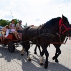 zdjęcie nr 34