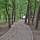 zdjęcie nr 7