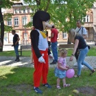 zdjęcie nr 16