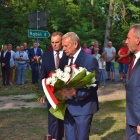 zdjęcie nr 31