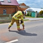 zdjęcie nr 4