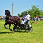 zdjęcie nr 54