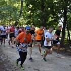 zdjęcie nr 19