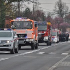 zdjęcie nr 15