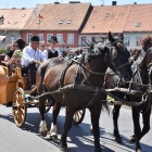 zdjęcie nr 20