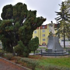 zdjęcie nr 7