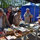 zdjęcie nr 9