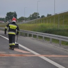 zdjęcie nr 8