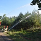 zdjęcie nr 12