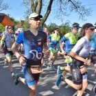 zdjęcie nr 11