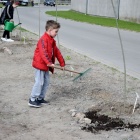 zdjęcie nr 30