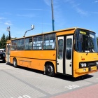 zdjęcie nr 48