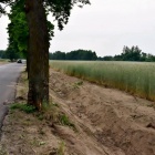 zdjęcie nr 7