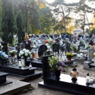 zdjęcie nr 24