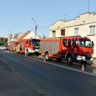 zdjęcie nr 5