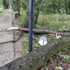 zdjęcie nr 5
