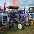 zdjęcie nr 87