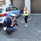 Uratowany pies adoptowany przez policjanta (1)
