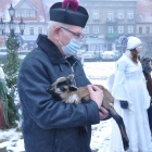 zdjęcie nr 19